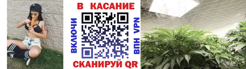 Наркошоп купить А ПВП  Cocaine  Псилоцибиновые грибы  Амфетамин  Марихуана  Мефедрон  Безенчук