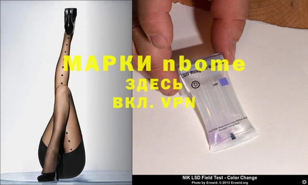 крисы Зерноград