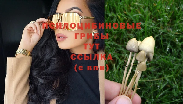 твердый Зеленокумск