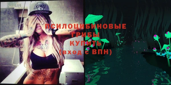 твердый Зеленокумск